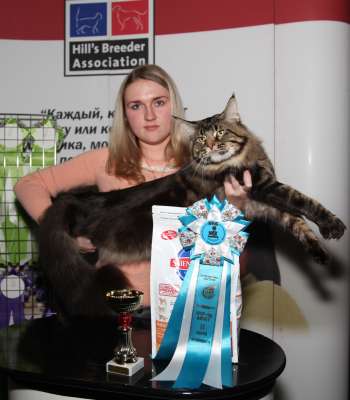 �������� ����� '������� ���-�����' 30 ������-1 ������� 2013., WCF-����� 2677